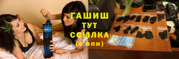 прущие грибы Краснослободск