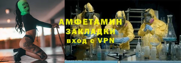 прущие грибы Краснослободск
