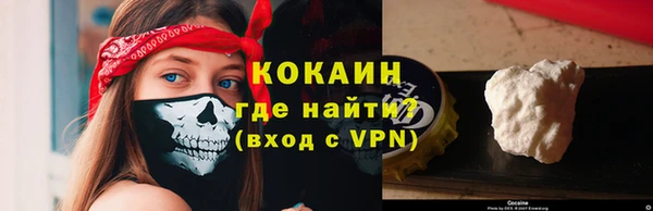 прущие грибы Краснослободск