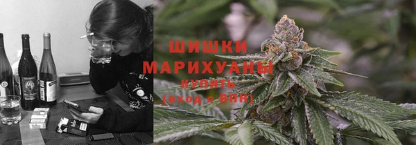 прущие грибы Краснослободск