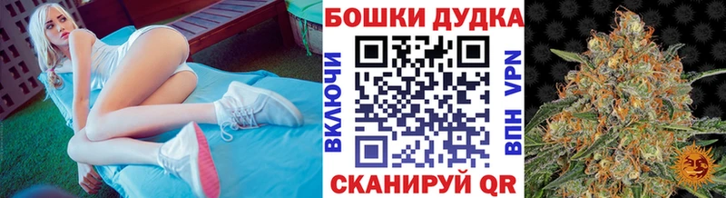 Марихуана OG Kush  Купить  Зеленоградск 
